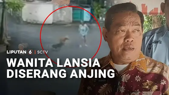 Jalan Kaki Seorang Diri, Wanita Lansia Diserang Anjing