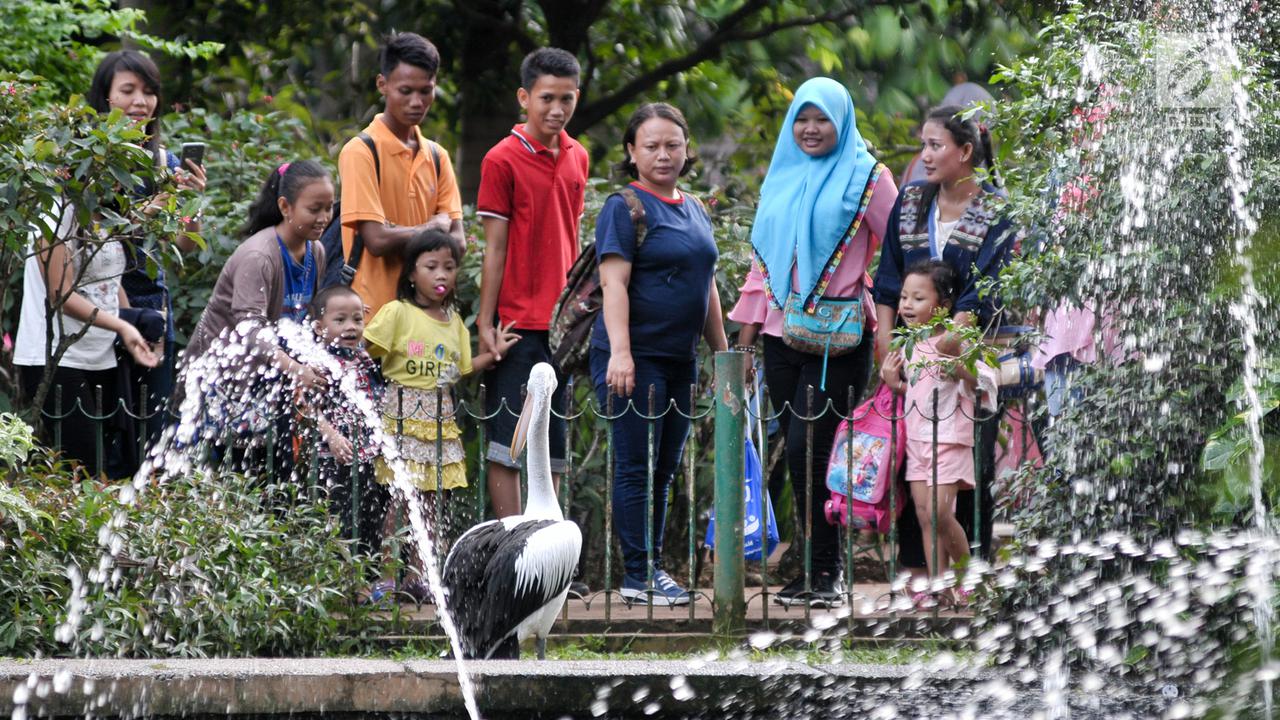 Lebaran Ke-2, Kebun Binatang Ragunan Penuh Pengunjung