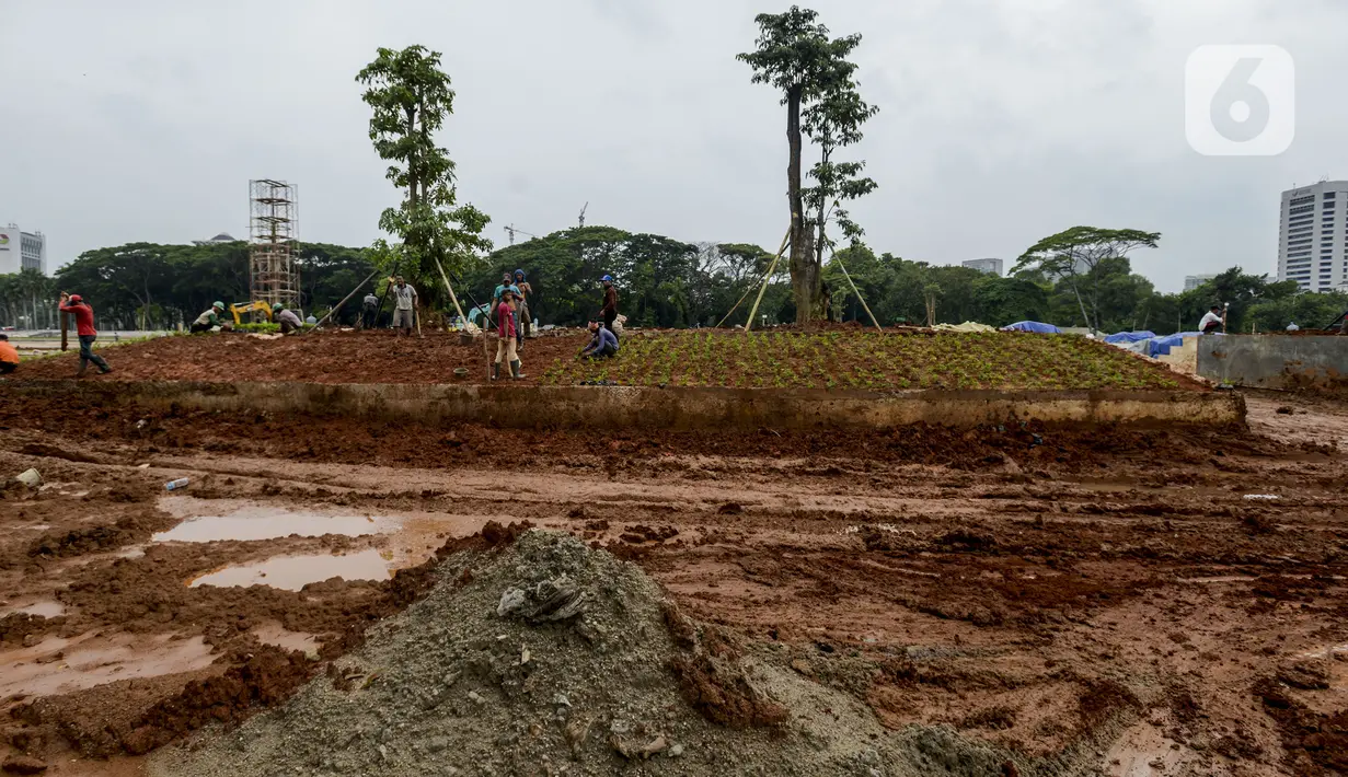 Pekerja melakukan penanaman kembali pohon-pohon di area proyek revitalisasi Taman Sisi Selatan Monumen Nasional, Jakarta, Rabu (5/2/2020). Penanaman dilakukan untuk mengganti pohon lama yang ditebang saat pembangunan proyek Plaza Selatan serta bagian dari penghijauan Monas. (merdeka.com/Imam Buhori)