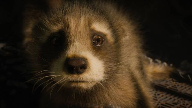 Rocket Guardians of the Galaxy Vol.3