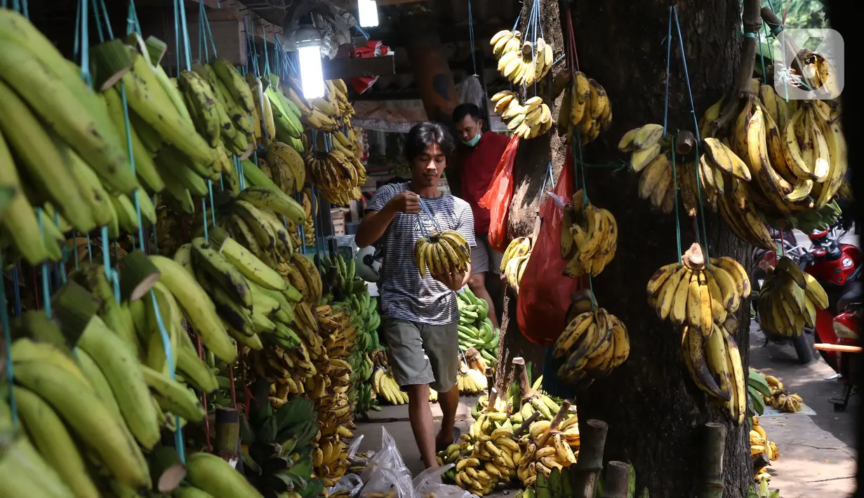 Aktivitas jual beli pisang di Pasar Lembang, Tangerang, Sabtu (3/10/2020). Pandemi Covid-19 berdamak pada permintaan pisang di pasar tersebut yang mengalami penurunan. (Liputan6.com/Angga Yuniar)