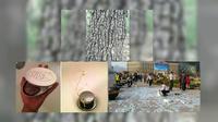 Top 3 Global, edisi Rabu (23/3/2016)