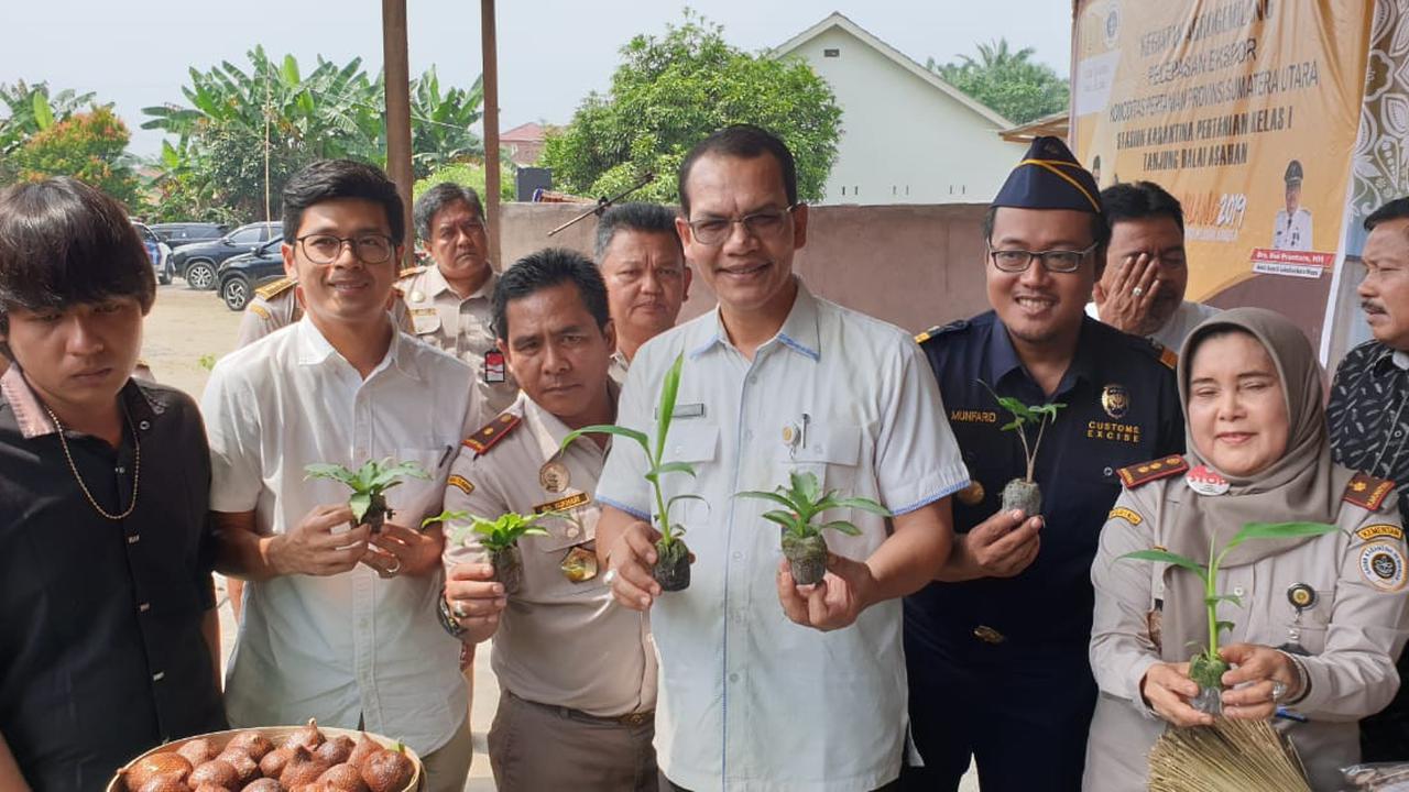 Produk Hortikultura Asal 6 Kabupaten di Sumut, Laris di Pasar Ekspor