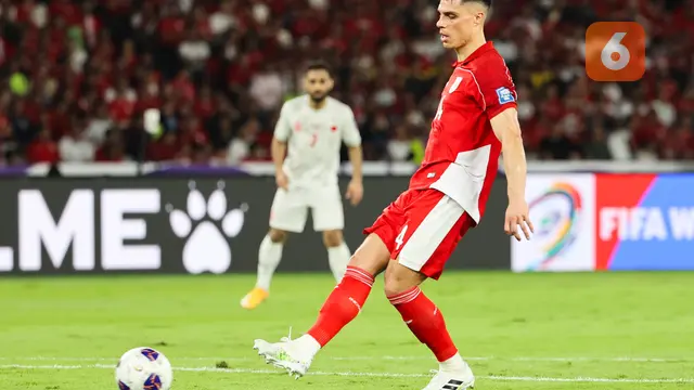 Joey Pelupessy, Timnas Indonesia