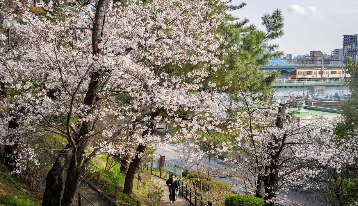 Mekarnya bunga Sakura menciptakan pemandangan merah muda yang ikonik. Tampak dalam foto, orang-orang berjalan di bawah pohon sakura saat kereta lewat di Tokyo pada Senin 30 Maret 2026. (Yuichi YAMAZAKI/AFP)