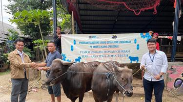 PT Amarta Karya (AMKA) melakukan penyembelihan hewan qurban dan menyalurkannya kepada yayasan yatim piatu yang ada di Kota Bekasi.