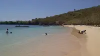 Pantai Pink di Lombok. (Liputan6.com/Sunariyah)