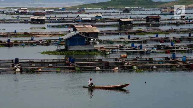 Potret Petani Kerambah Jaring Apung Waduk Jatiluhur