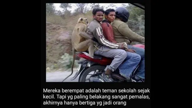 Meme Otomotif