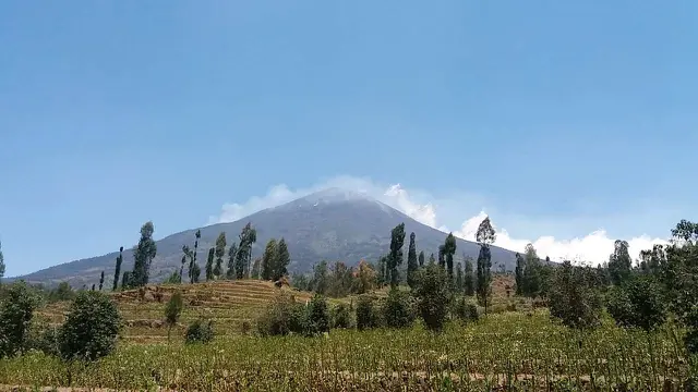 Ratusan hektare kawasan hutan Gunung Sindoro dan Sumbing terbakar. Tampak Gunung Sindoro masih mengepulkan asap kebakaran. (Liputan6.com/BPBD Wonosobo/Muhamad Ridlo)