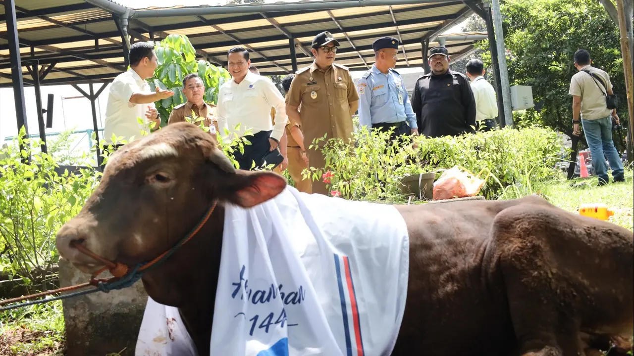 Berdayakan Peternak Lokal, AirNav Indonesia Salurkan Puluhan Ekor Hewan Kurban untuk Masyarakat Tangerang