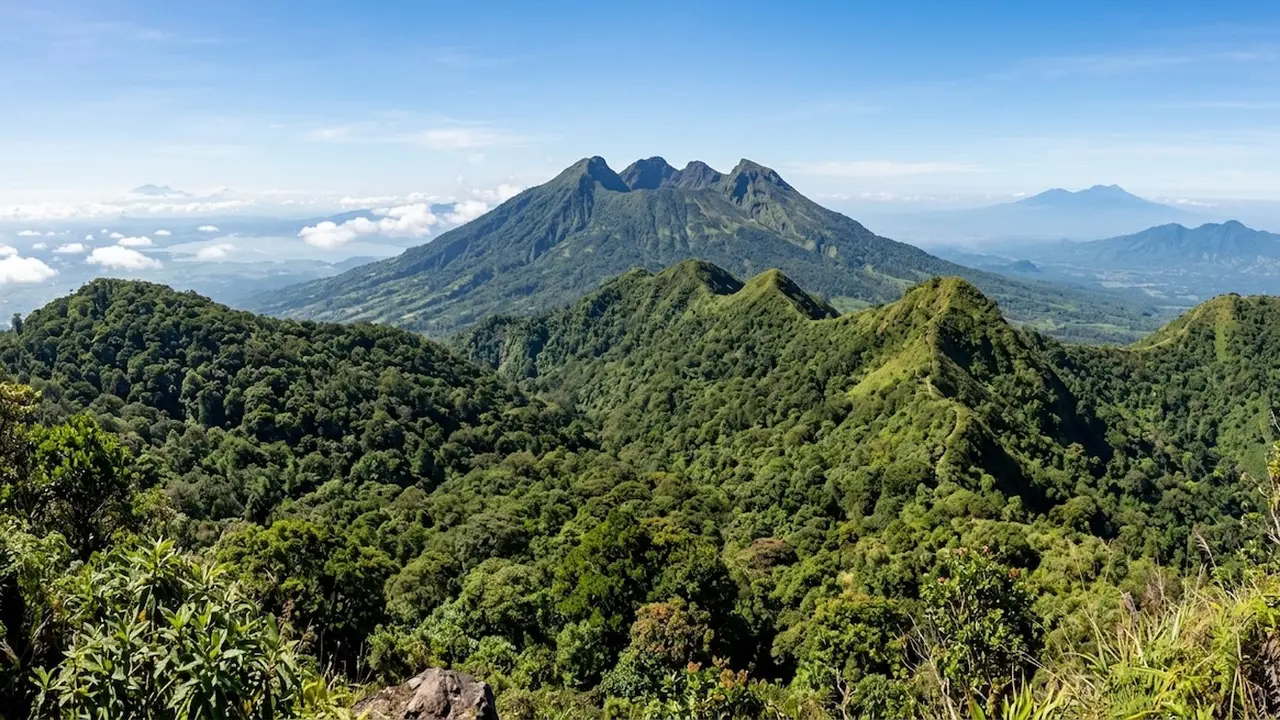 Pembangkit Listrik Tenaga Panas Bumi (PLTP) di Wilayah Kerja Panas Bumi (WKP) Gunung Ungaran, Kabupaten Semarang dan Kabupaten Kendal, Jawa Tengah. Dok ESDM