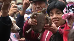 Seorang wanita mengangkat kura-kura peliharaannya untuk diberkati di Lima, Peru pada Minggu (6/10/2019). Pemberkatan hewan ini untuk menghormati Santo Fransiskus yang dikenal sebagai santo pelindung bagi binatang dan lingkungan hidup. (AP/Martin Mejia)