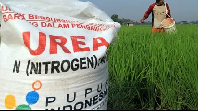 Ilustrasi stok pupuk urea bersubsidi (Istimewa)