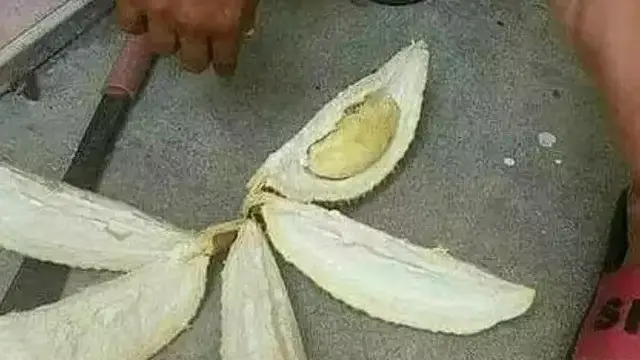 Malah Bikin Susah, Ini 7 Potret Absurd Orang Makan Durian Ini Bikin Tepuk Jidat