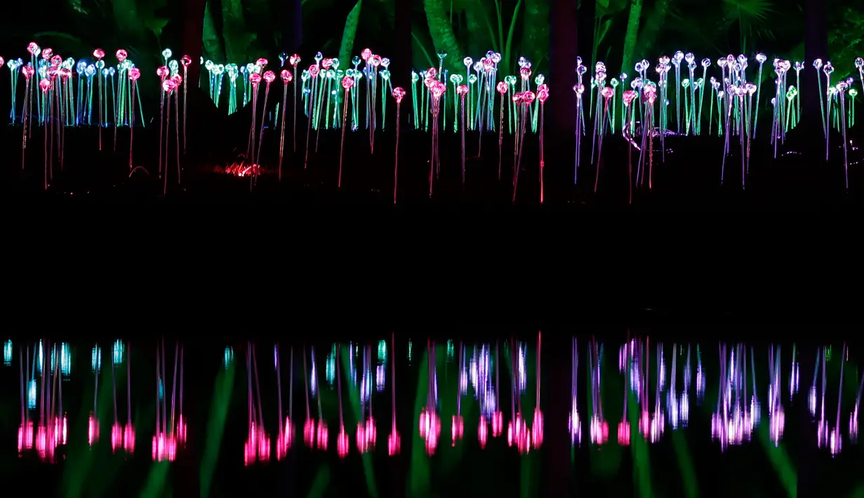 Bunga-bunga kaca menyinari NightGarden di Fairchild Tropical Botanic Garden, Miami, AS, Kamis (29/11). Acara liburan ini mengubah 23 hektare lahan menjadi taman interaktif. (AP Photo/Lynne Sladky)