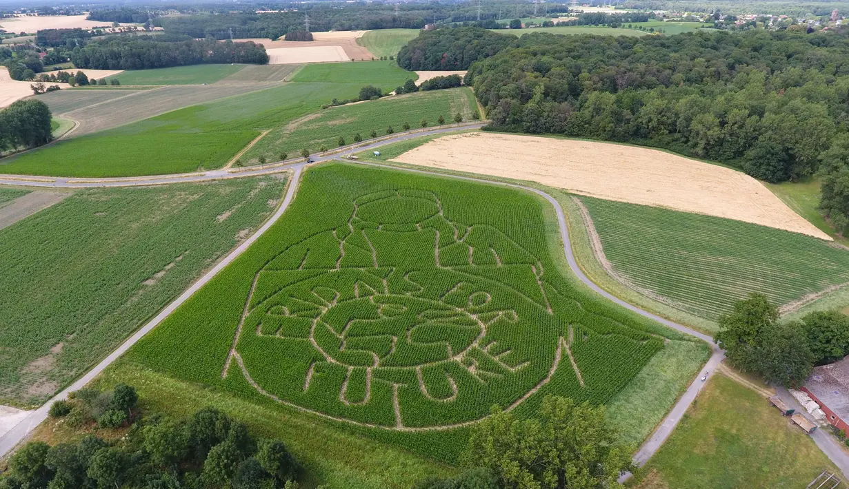 Pandangan udara memperlihatkan labirin dengan potret aktivis iklim Swedia Greta Thunberg menghiasi ladang jagung di Selm, Jerman, Rabu (10/7/2019). Sosok Greta Thunberg memukau banyak anak muda yang kecewa pada orang dewasa atas lambannya penanganan perubahan iklim. (INA FASSBENDER/AFP)