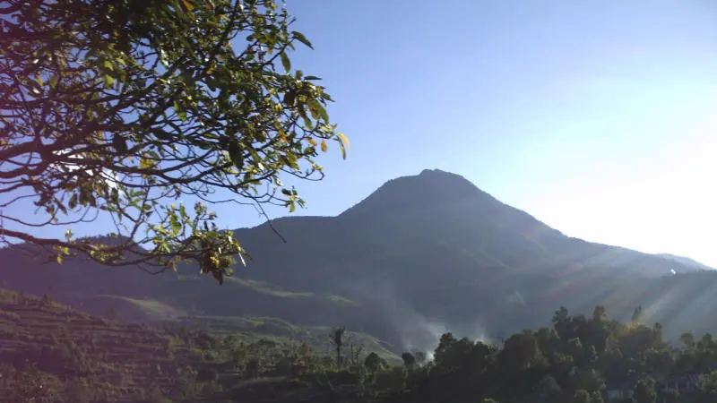 Status Gunung Talang Waspada, Pendakian Ditutup