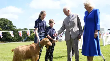 Raja Charles III dan Ratu Camilla melihat Kambing Golden Guernsey yang langka saat mengunjungi Les Cotils di L'Hyvreuse, di Saint Peter Port, Guernsey selama kunjungan dua hari mereka ke Kepulauan Channel, Selasa (16/7/2024). (Andrew Matthews/PA via AP)