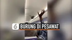 vertical merpati