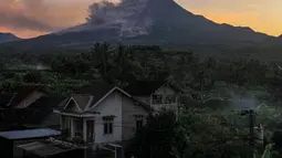 Asap tebal mengepul saat letusan Gunung Merapi terlihat dari desa Kaliurang Selatan di Srumbung, Magelang, Jawa Tengah pada 12 Maret 2023. Balai Penyelidikan dan Pengembangan Teknologi Kebencanaan Geologi (BPPTKG) mengumumkan, luncuran awan panas mengarah ke Kali Bebeng atau Krasak. (AFP/Devi Rahman)