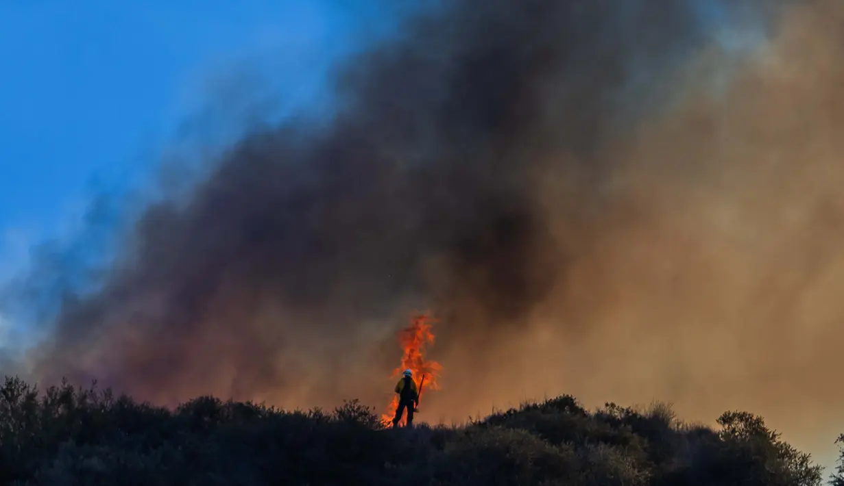 Sekitar 300 petugas pemadam kebakaran tambahan diterjunkan untuk bergabung dengan 700 lainnya yang telah berjuang melawan kebakaran tersebut. (Apu Gomes/Getty Images North America/Getty Images via AFP)