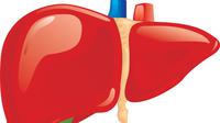 Tema kampanye Hari Hepatitis Dunia 2015 yang berlangsung tiap 28 Juli adalah pencegahan hepatitis.