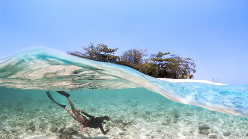 Ilustrasi menyelam menikmati keindahan bawah laut Indonesia