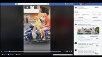 Anjing mengendarai motor (Facebook).