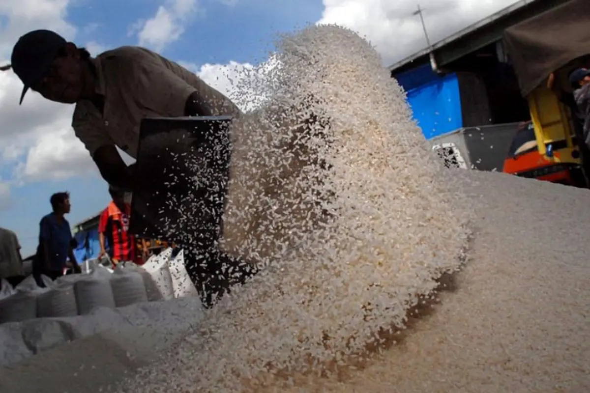 Pembuatan Beras Plastik Pertama Kali Dibocorkan LiveLeak