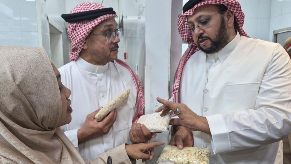 Tempe Jadi Andalan Konsumsi Haji 2026, Pengawasan Katering Jemaah Berlapis