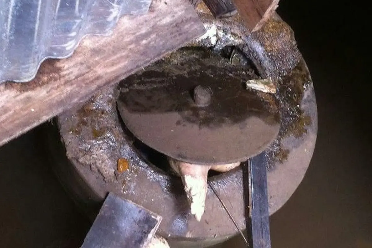 Hilang Berhari-hari, Pelayan Warung Ditemukan dalam Septic Tank