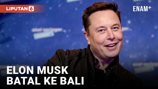 vertical elon