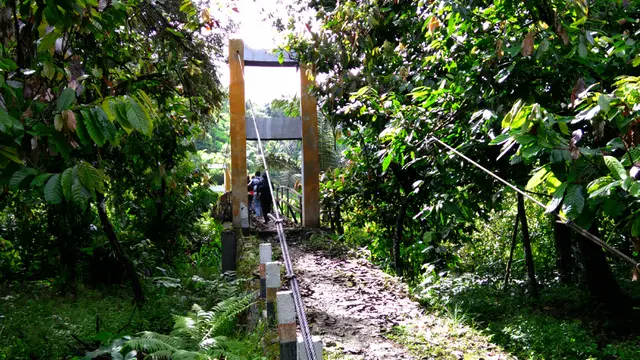 Hutan Adat Marena