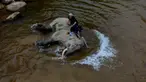 Pawang memandikan gajah jinak di sungai kawasan Conservation Response Unit (CRU) Desa Naca, Trumon Tengah, Aceh Selatan, Aceh, Jumat (19/6/2020). BKSDA Aceh memiliki 32 ekor gajah jinak yang ditempatkan di Pusat Latihan Gajah (PLG) dan CRU untuk menangani konflik satwa. (CHAIDEER MAHYUDDIN/AFP)