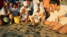 Anggota The Orange House Project melepaskan bayi penyu atau tukik di pantai El Mansouri, Tyre, Lebanon, Minggu (29/7). Anggota The Orange House Project membantu penyu menghadapi berbagai ancaman dari kepunahan. (Mahmoud ZAYYAT/AFP)