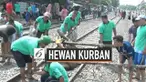 Sudah bertahun-tahun warga Kampung Sunter Tanjung Priok Jakarta Utara memotong hewan kurban di piggir rel kereta api. Keterbatasan lahan menjadi penyebabnya. Warga telah memimnta izin PT KAI untuk melakukan kegiatan ini.