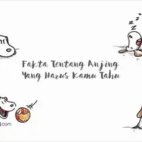 Fakta Tentang Anjing yang Harus Diketahui.
