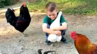 Seekor ayam jantan terlihat cemburu dalam tayangan video bocah lelaki dengan ayam betina miliknya.