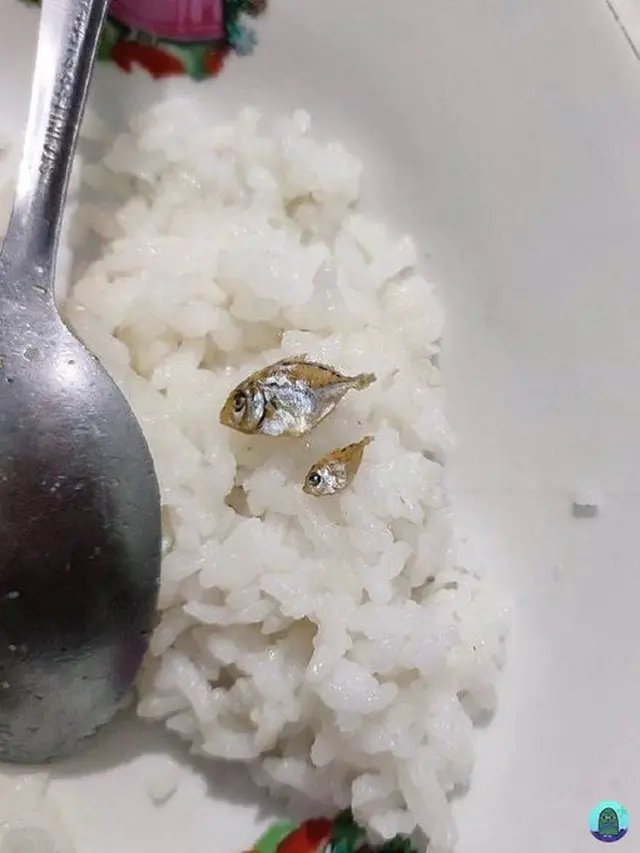 7 Potret Menu Makan Nyeleneh Lauknya Irit Banget Ini Bikin Kasihan