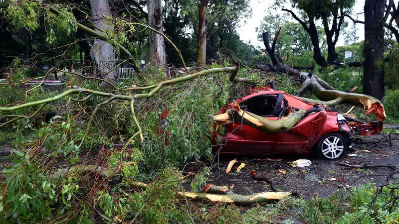 Badai merenggut nyawa 14 orang di Argentina. (AFP)