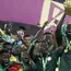 Senegal mengalahkan Mesir lewat adu penalti dengan skor 4-2.