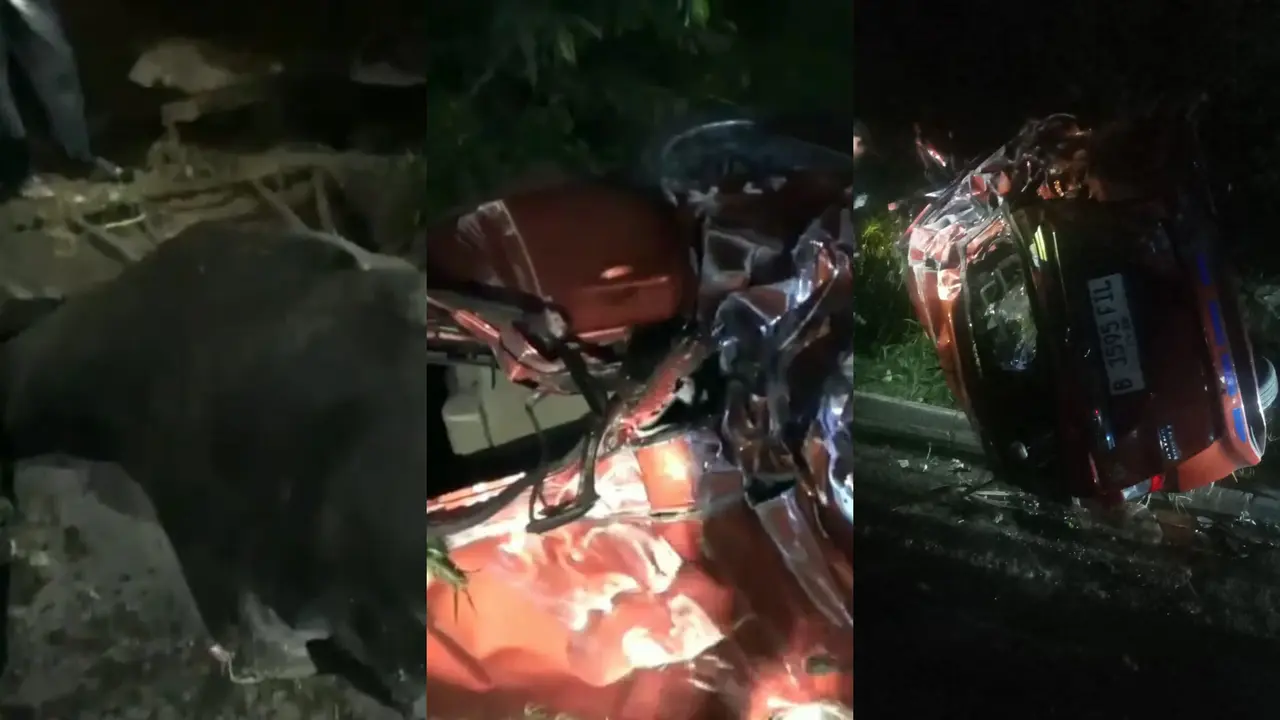 Sebuah minibus dan truk bermuatan sapi alami kecelakaan di Bakauheni, Lampung Selatan. Foto :  (Istimewa).