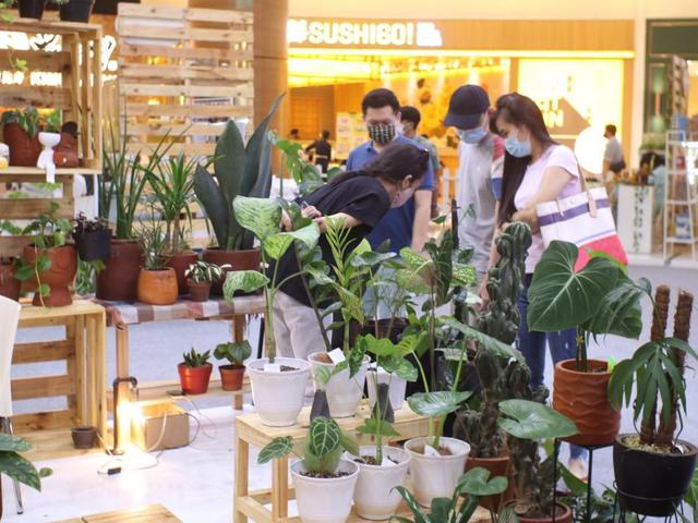 Menengok Pameran Urban Garden Ada Tanaman Hias Seharga Rp 7 5 Juta Bisnis Liputan6 Com