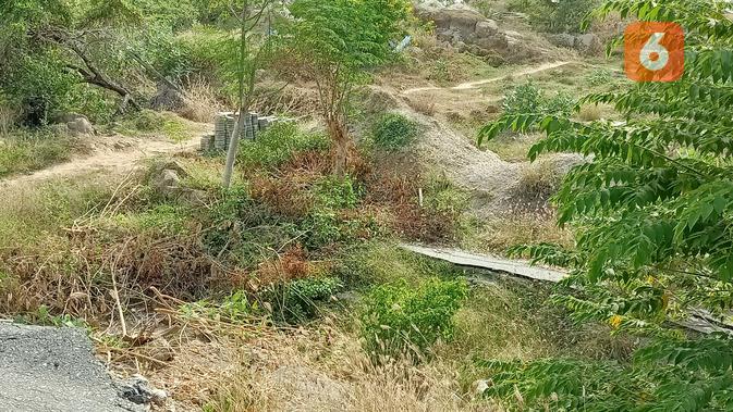 Lokasi bekas bencana likuefaksi Palu. (Liputan6.com/Dinny Mutiah)