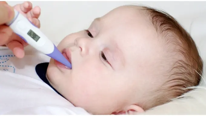 Foto: copyright thinkstockphotos.com