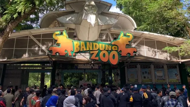Kementerian Kehutanan (Kemenhut) resmi mencabut izin Yayasan Margasatwa Tamansari (YMT), pihak yang mengelola Kebun Binatang Bandung (Bandung Zoo).