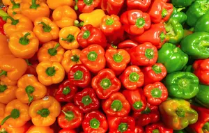 Perbedaan Paprika Merah, Kuning, dan Hijau untuk Penggunaan Terbaik di Berbagai Hidangan