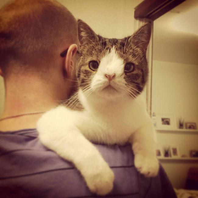 Monty dalam gendongan pemiliknya.