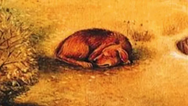 Wajah atau Anjing, Objek Pertama yang Dilihat Ungkap Apa yang Dicari dalam Hidup
